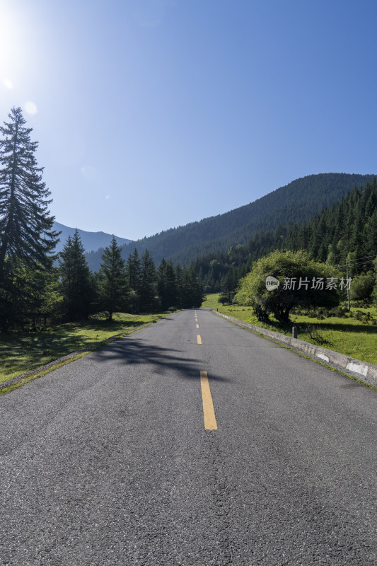 川西高原的山间公路