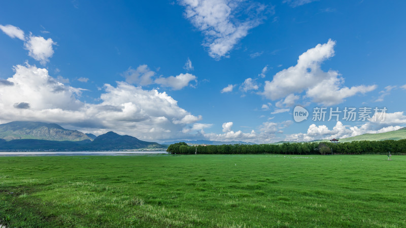 丽江拉市海湿地公园夏末风光茶马古道风景