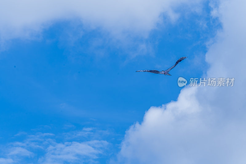 武汉硚口区园博园风景