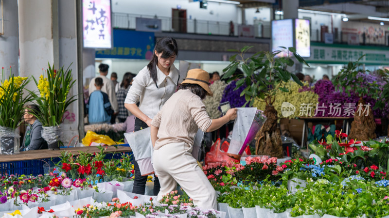 云南昆明斗南花市吸引大量游客前来买花