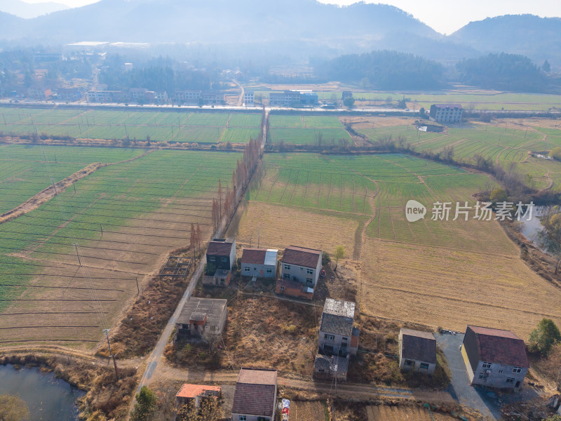 乡村鸟瞰全景