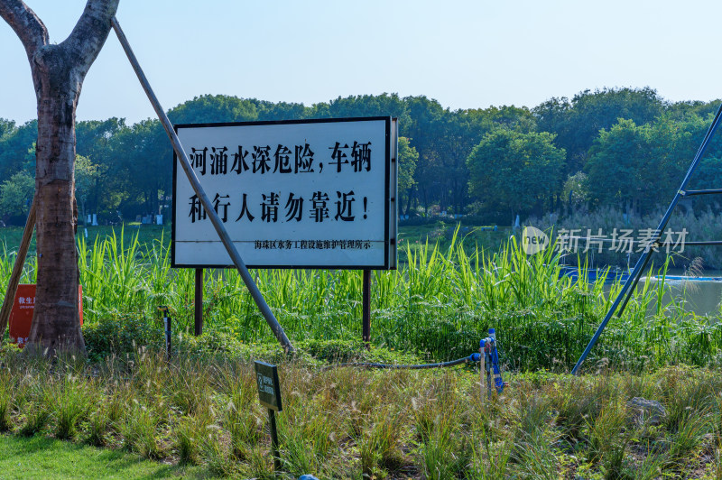 广州文化馆河岸园林绿色树林