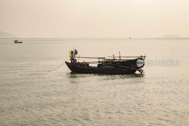 深圳湾公园景观