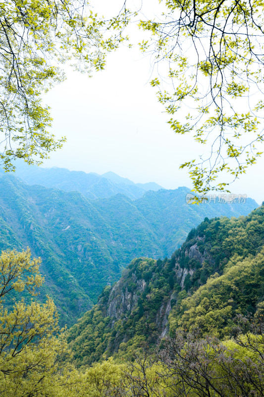 太白山自然风光