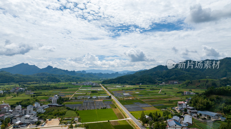 航拍武夷山绿色农田与茶园