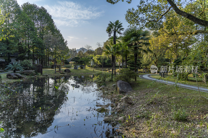 杭州西子湖畔杭州花圃风景