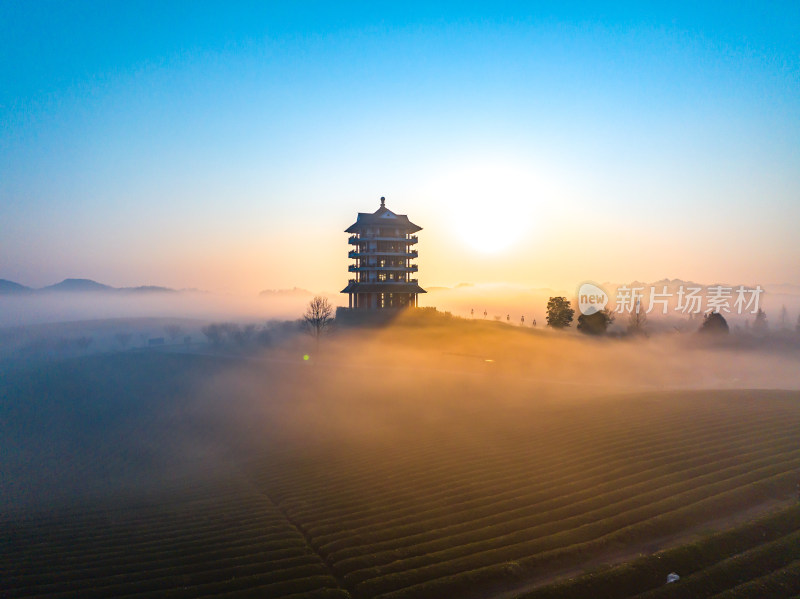 贵州遵义湄潭茶海