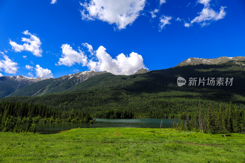 新疆阿勒泰地区喀纳斯森林草原自然风景