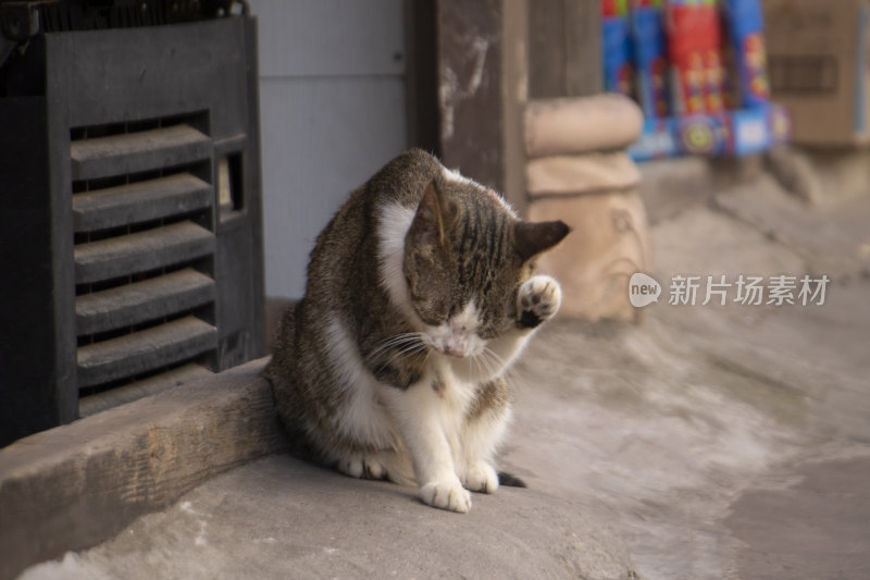 古镇街道风光背景图