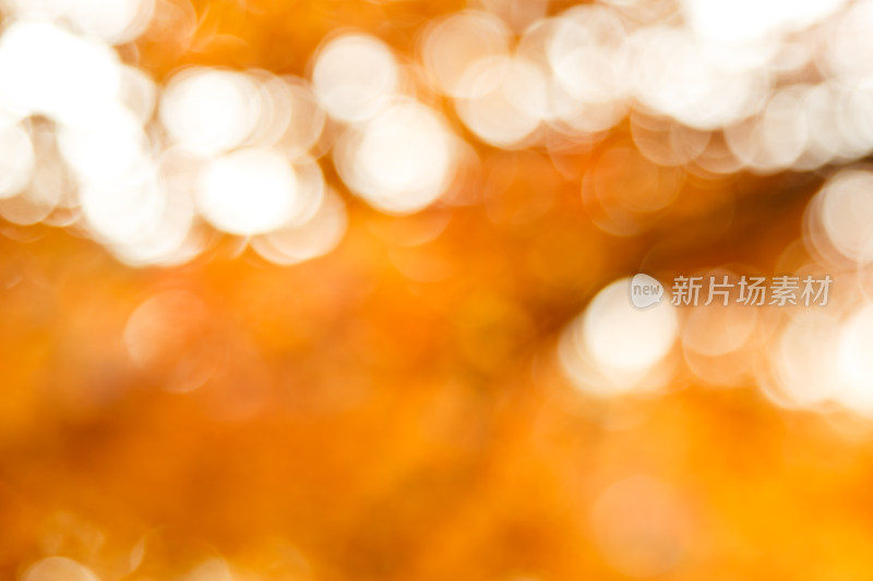 秋季光斑虚化背景图
