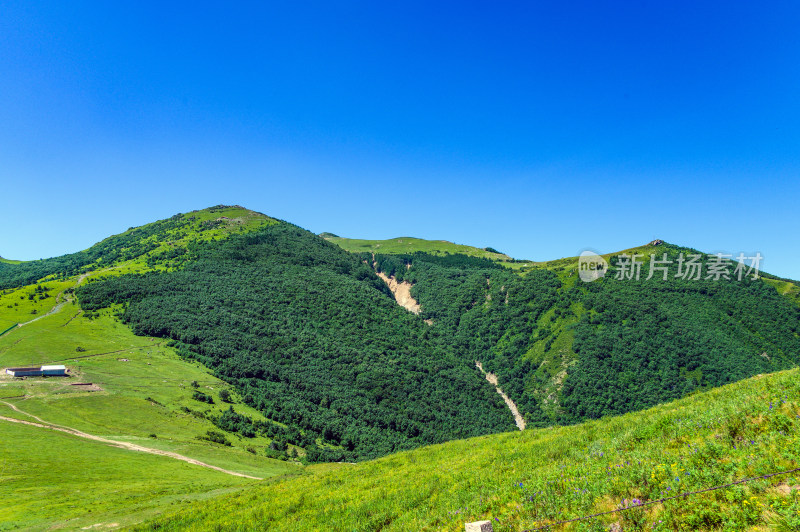 夏季蓝天白云绿色高山草甸群山大气风光