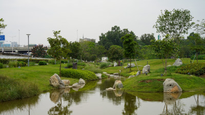 深圳光明区楼村湿地公园风景