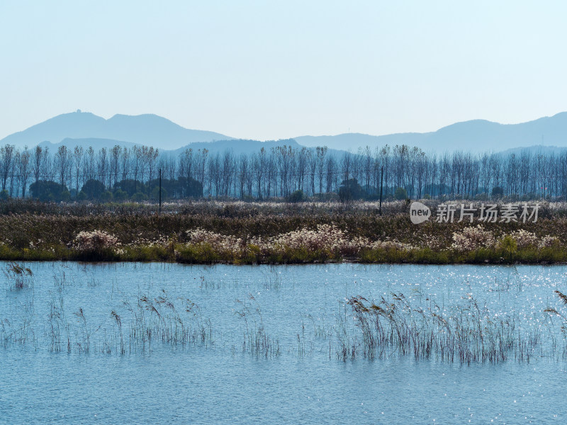 龙袍湿地风光