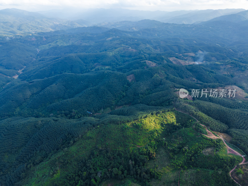 航拍绿意盎然的广袤山林自然景观