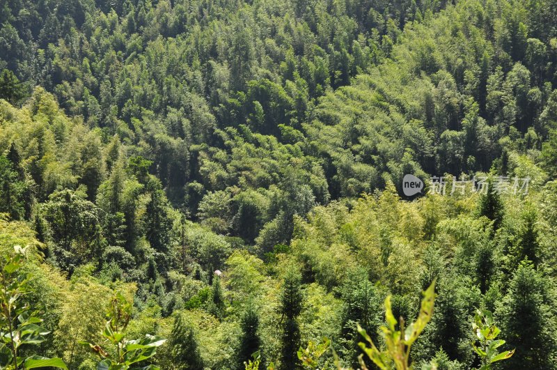 湖洋梯田  浏阳风景  自然风光