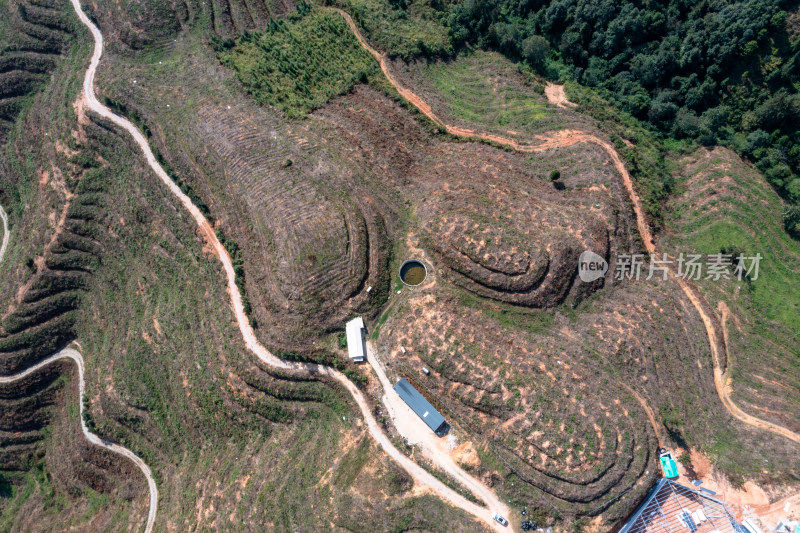 山坡上的梯田 经济作物种植基地