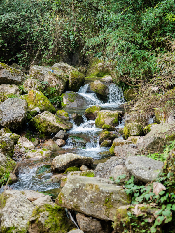 成都都江堰市青城山后山风景