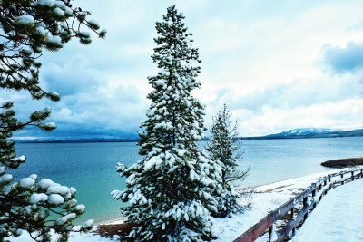 冬天森林公园湖边雪景