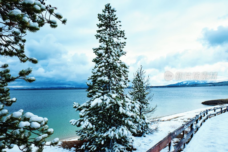 冬天森林公园湖边雪景