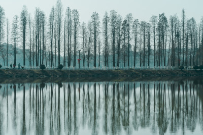 平静湖水倒映岸边树木的自然景观