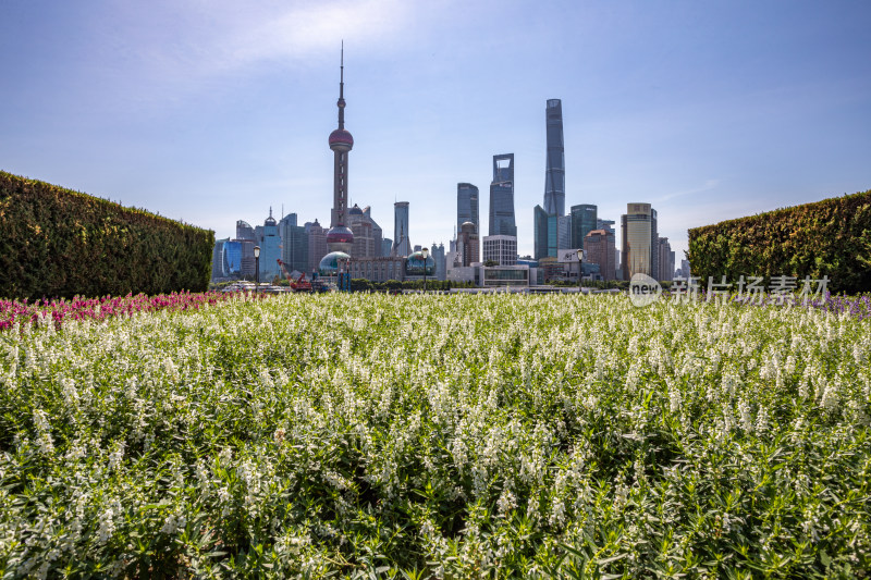 上海外滩外白渡桥陆家嘴黄浦江城市景观