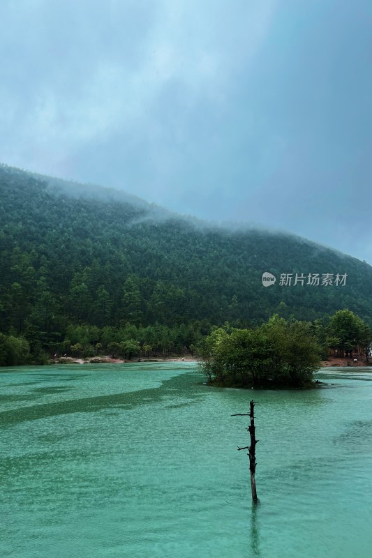 雨天的枯木矗立湖中央更显孤寂