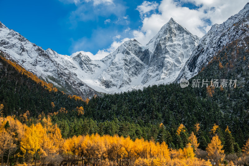 晴朗午后，四川毕棚沟景区秋景