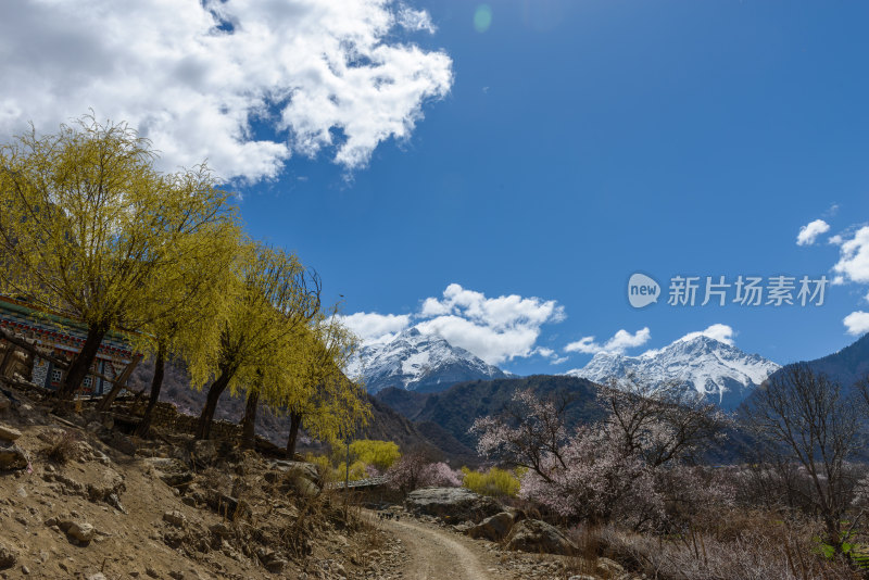 林芝自然风光高清照片