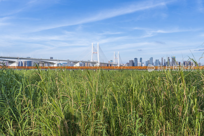 武汉汉口江滩公园风景