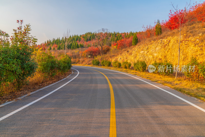 山区公路秋色