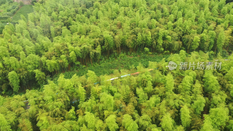 湖州莫干山风景航拍