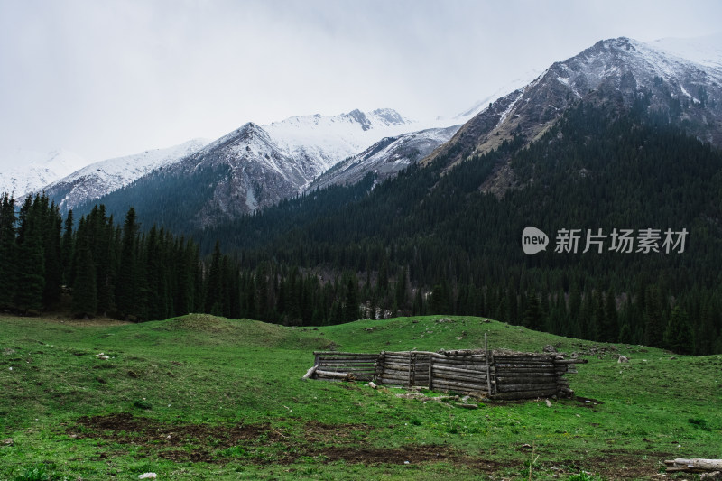 新疆夏塔雪山下森林里的小木屋