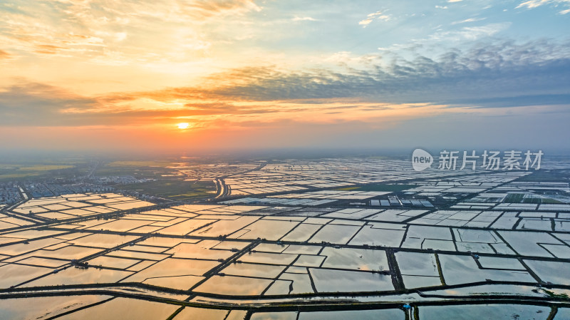 湖北江汉平原的连片养殖鱼塘与夕阳