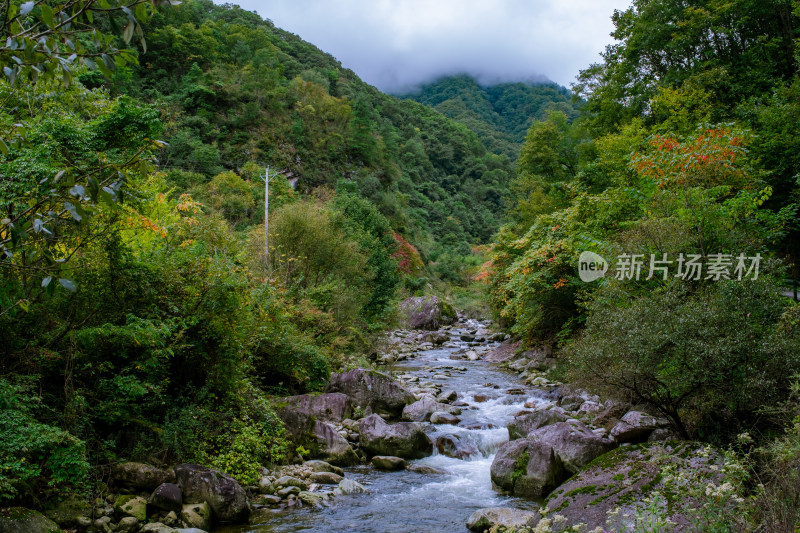 汉中留坝火烧店镇秦岭深处的山中小溪