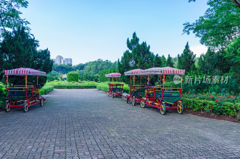 广州南沙蒲洲花园园林景观旅游车