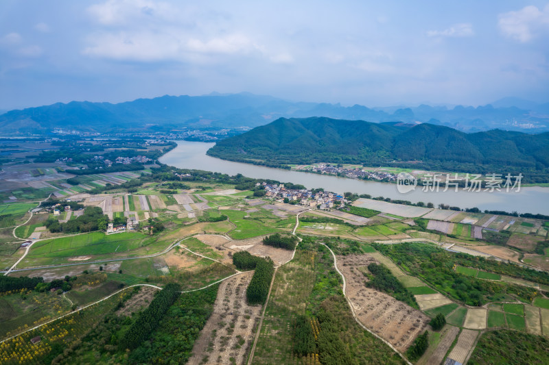 广东韶关黄花风铃木种植基地航拍