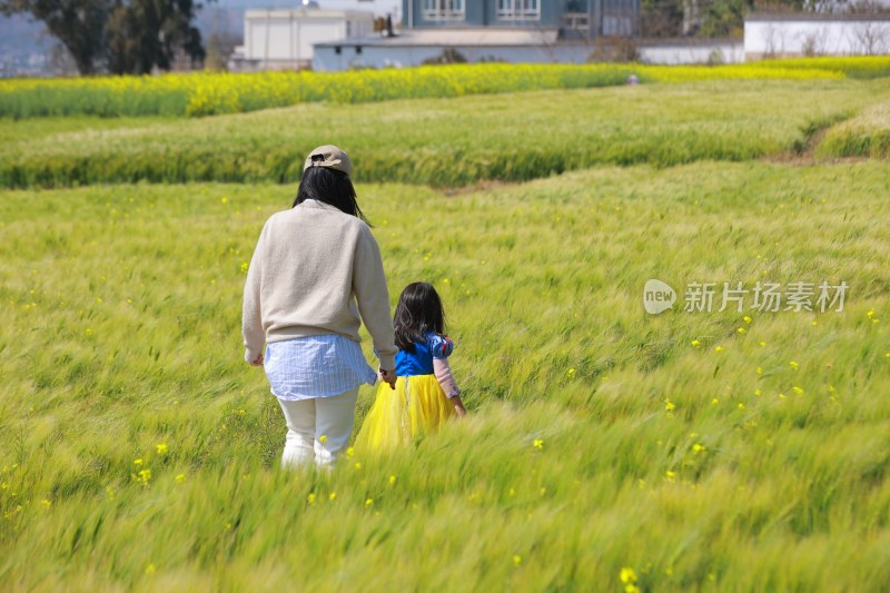 母女漫步麦田享受休闲时光