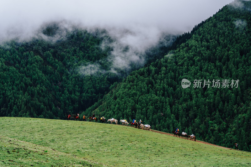 阿坝州四姑娘山海子沟