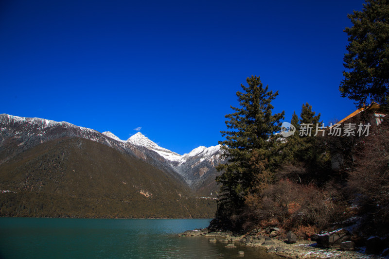 中国西藏林芝市巴松措景区雪山森林湖泊风光