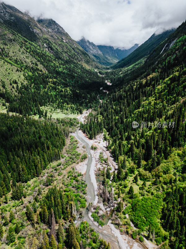 阿坝州四姑娘山长坪沟