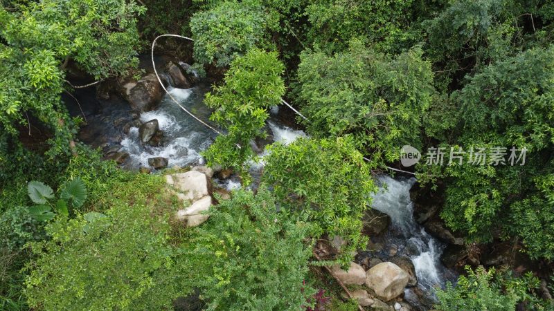 广东东莞：银瓶山树林溪涧流水潺潺