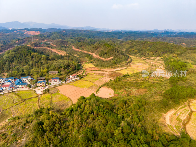 山区农业种植农田航拍图