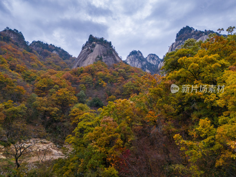 南阳老界岭秋景风光