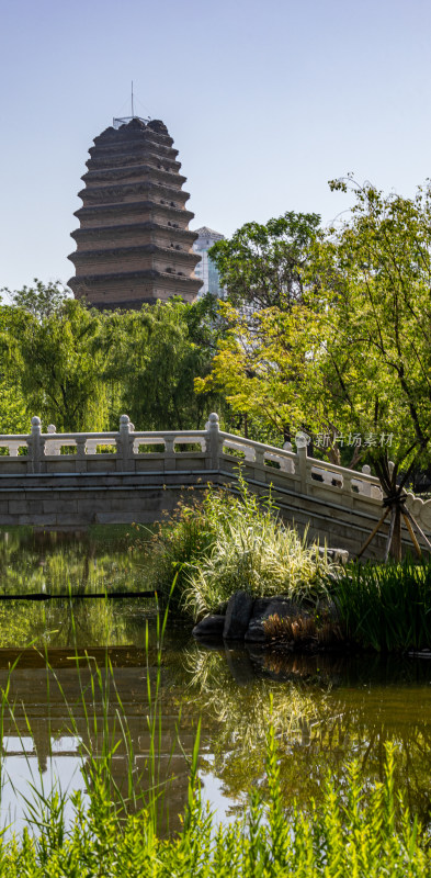 陕西西安小雁塔遗址公园西安博物馆景点景观