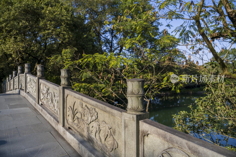 杭州西湖花港观鱼风景