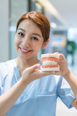 护士在牙科诊所展示牙齿模型