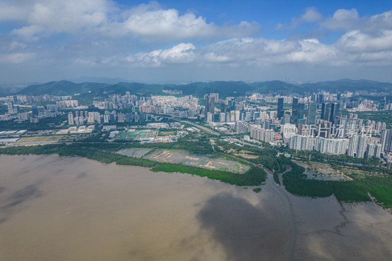 深圳市福田红树林保护区