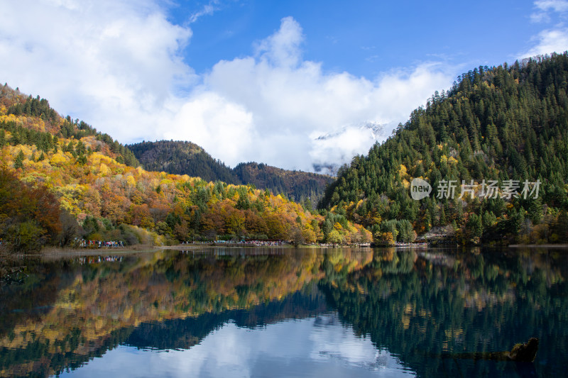 九寨沟秋色，五花海彩林层林尽染湖光山色