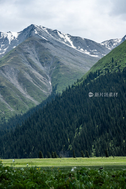 昭苏夏塔景区