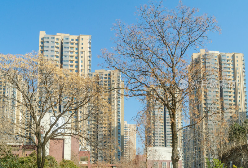 小城渭南的城市风光